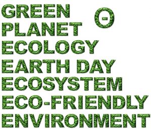 green cleaning products ecofriendly