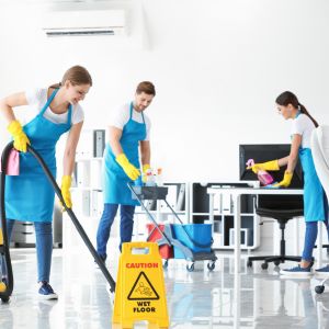 vaughan cleaning services