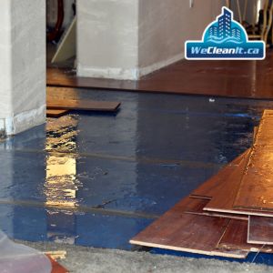 Managing water damage in Toronto